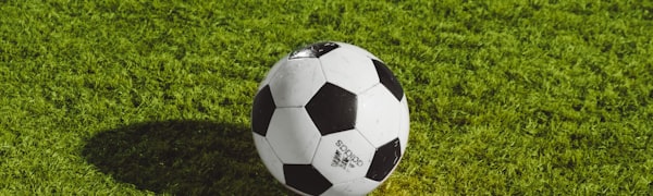 站点前沿栏目展示图 - 现代科技感门户界面，展示最新动态入口